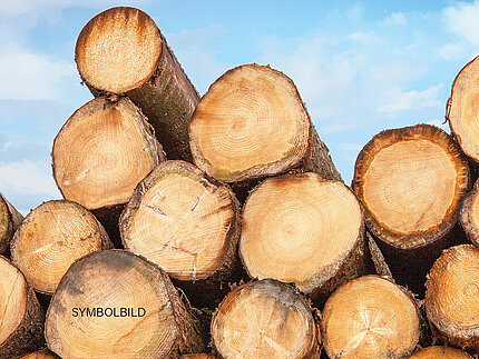 Troncs de sapins sciés et empilés Symbolbild: Gestapelte Baumstämme als Brennholz im Außenbereich eines Holzlagers